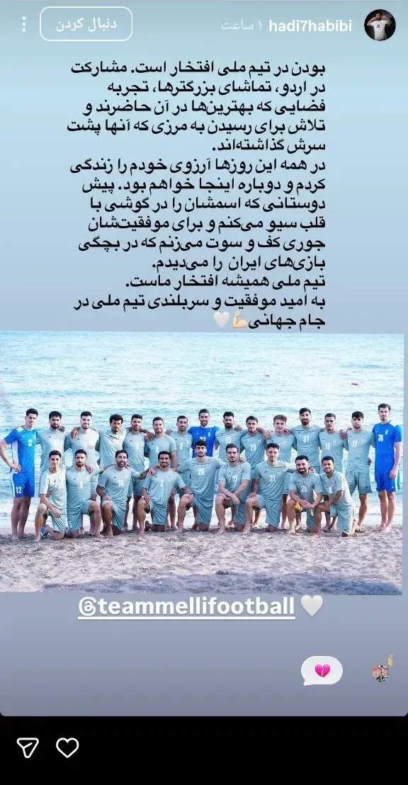 هادی حبیبی نژاد