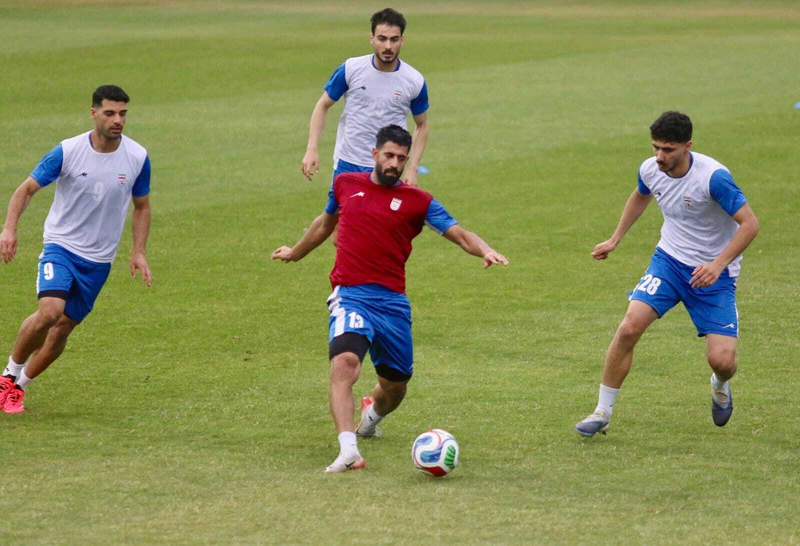 تیم ملی