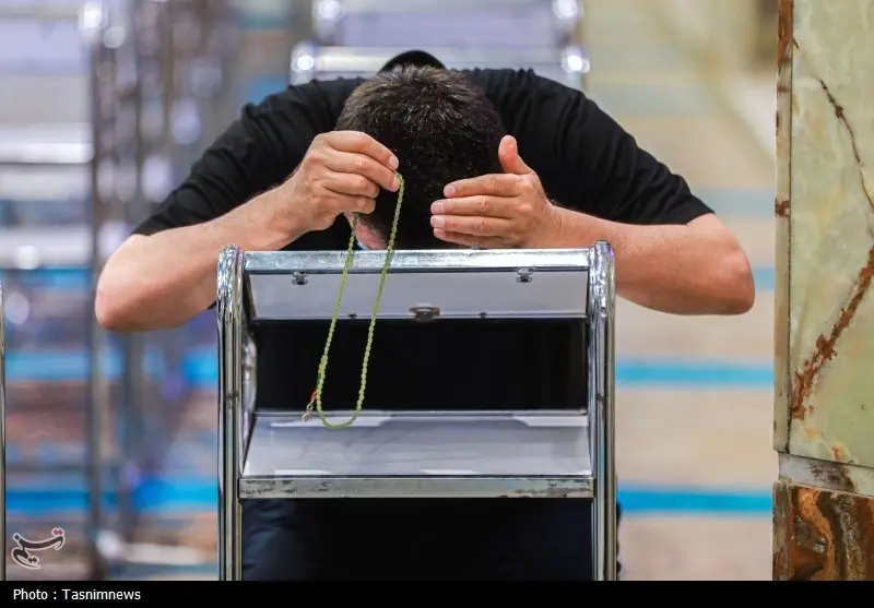 امیر قلعه‌نویی