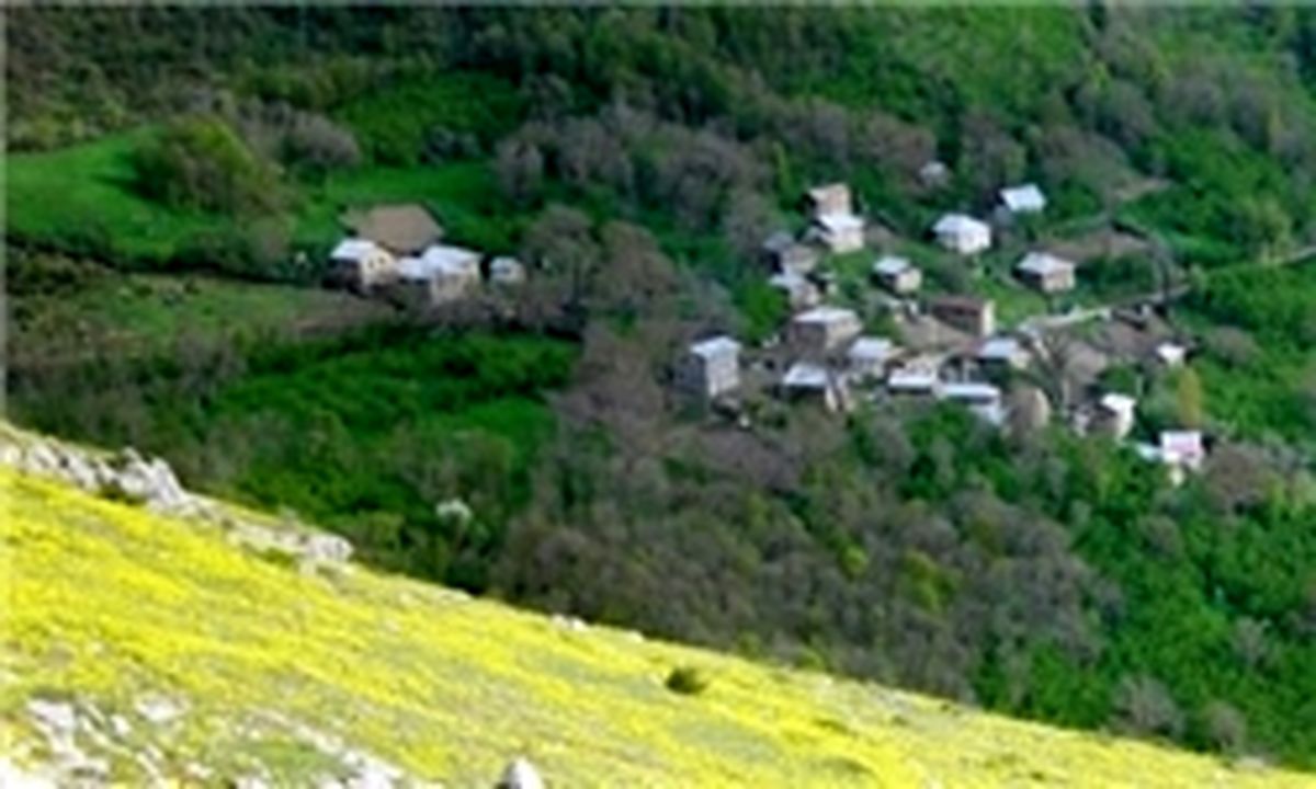 نرخ تورم سالانه روستایی کاهش یافت