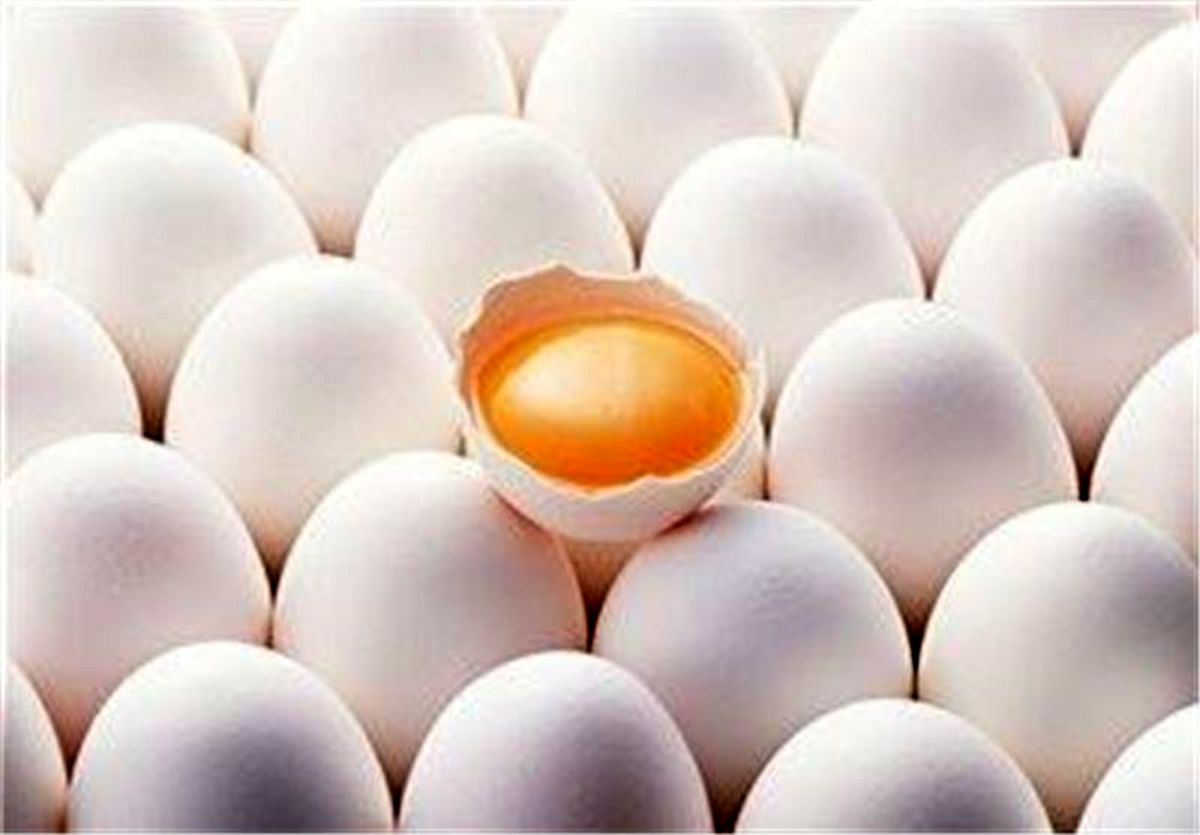 غرامت مرغداران پرداخت شد؟