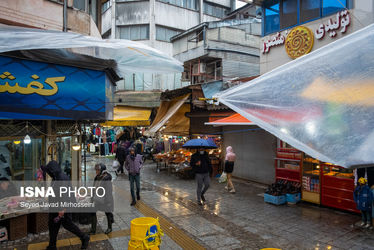 62883188_Javad-Mirhosseini-6504