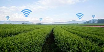 ابلاغ دستورالعمل کشت قراردادی