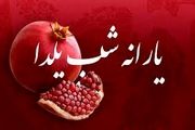 واریز یارانه یلدایی  به چه صورت است؟