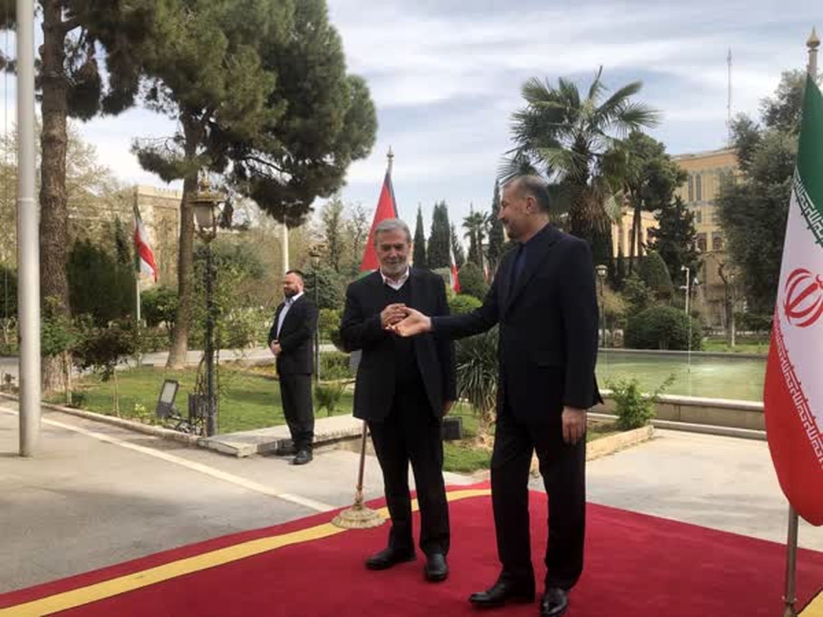 ببینید| استقبال امیرعبداللهیان از زیاد نخاله در تهران
