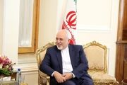 دیدار ظریف و رئیس جمهور فنلاند