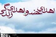  اعضای بدن کودک مرگ مغزی جان سه بیمار را نجات داد