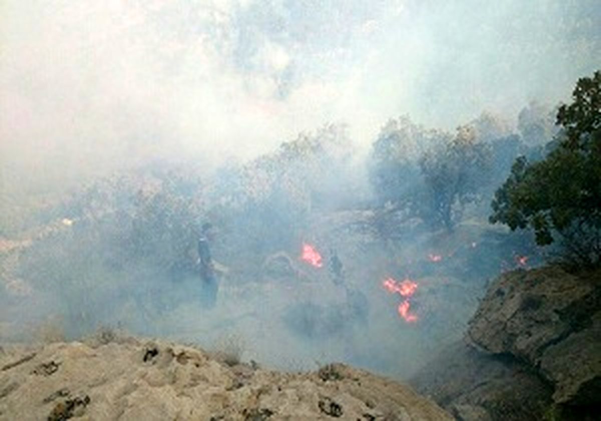 
آتش دوباره در جنگل های گیلانغرب زبانه کشید
