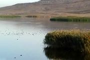 جازموریان جان دوباره گرفت