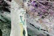 
جزئیات خودکشی 2 جوان در کیاسر

