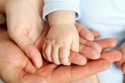 پیرترین پدر و مادر‌ها کدام استان زندگی می‌کنند؟
