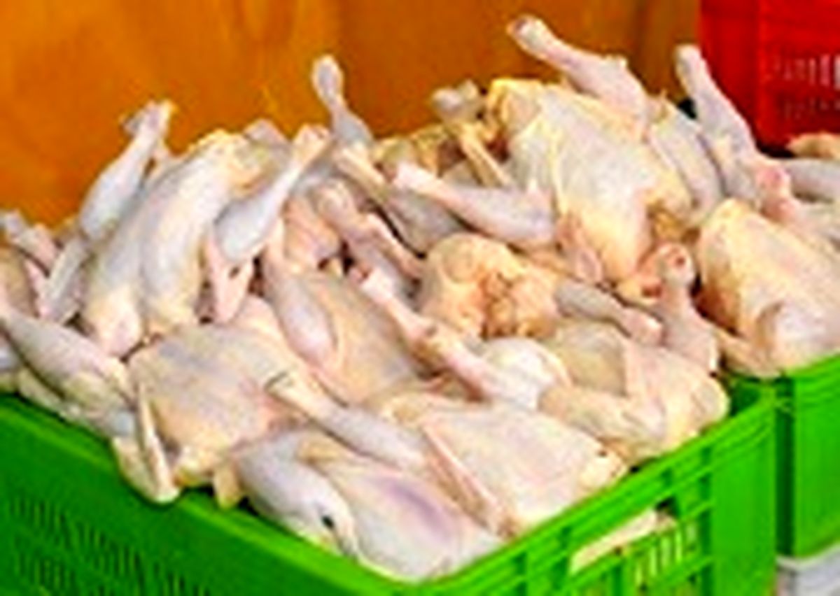 مرغ ۶۰۰۰ تومانی مطلوب همه است!