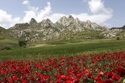 طبیعت ارسباران/ گزارش تصویری
