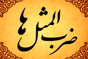  چه کسی گفت جوجه را آخر پاییز بشمار؟!