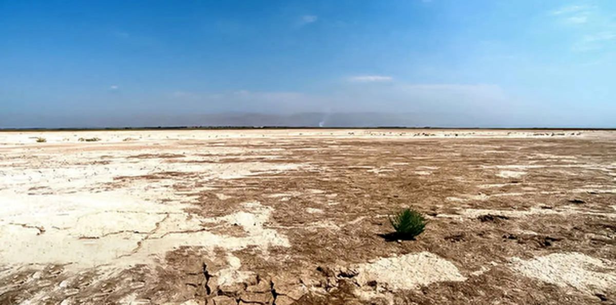 اخبار نگران کننده درباره تالاب‌های تهران