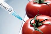 گیاهان «تراریخته»، پایان گرسنگی یا زنگ خطر «بیوتروریسم» 