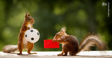 7xOlxaTT4MHv