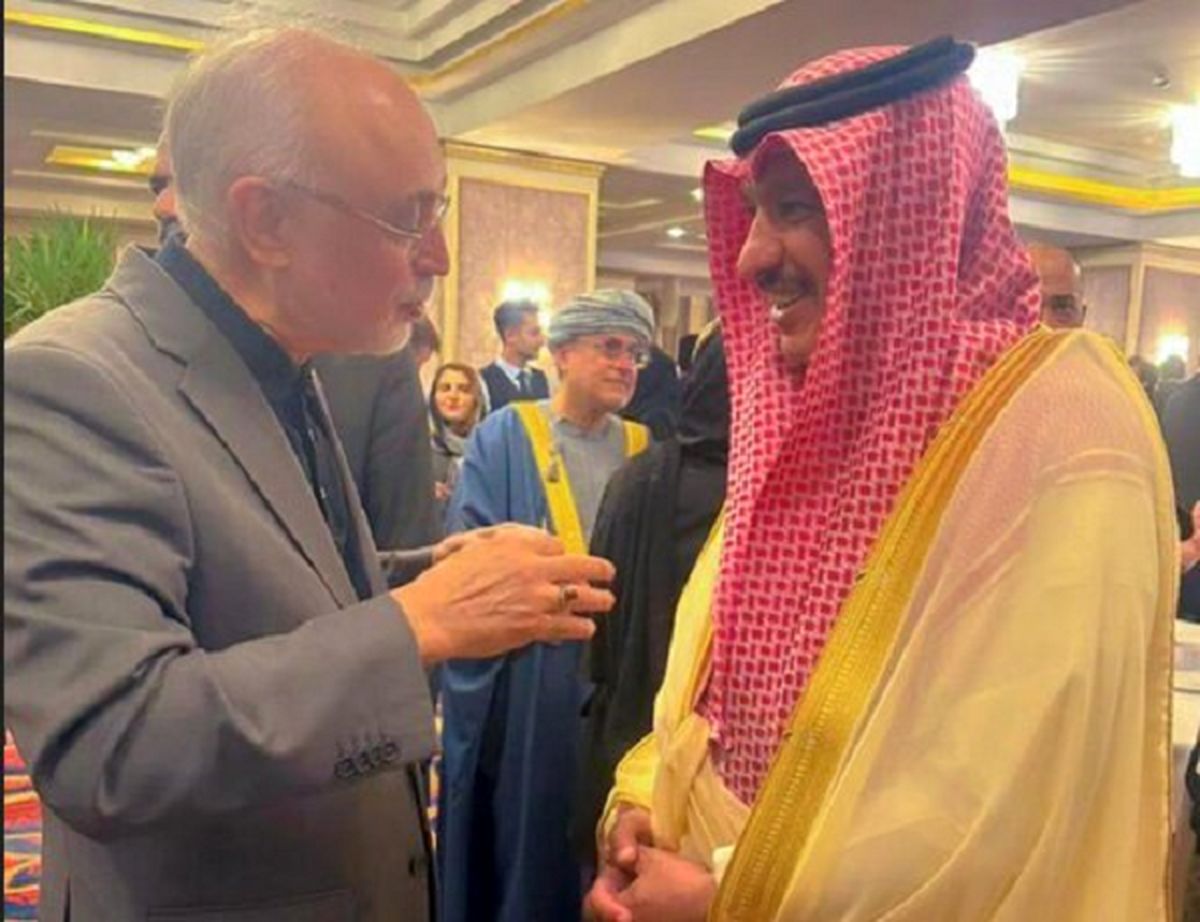 گفت‌وگوی دوستانه سفیر عربستان با علی اکبر صالحی+ عکس