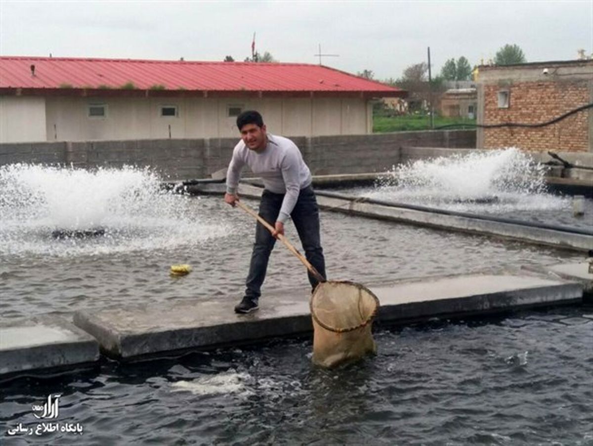 از کارآفرینی با ماهی قزل آلا تا درآمد 40 میلیونی یک جوان 22 ساله در روستا+عکس