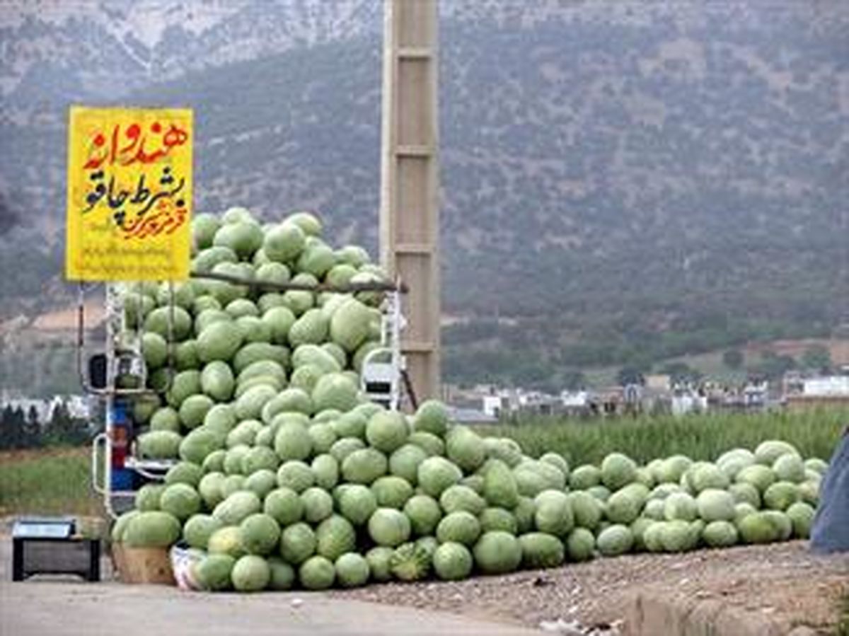 بازی باخت باخت در زمینهای کشاورزی