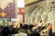 اسراری که در زیارت امام رضا(ع) نهفته است
