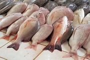 قیمت ماهی امروز یکشنبه ۲۰ خرداد ۱۴۰۳ + جدول
