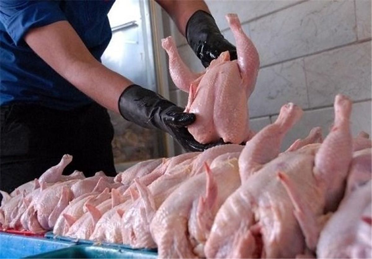 گوشت مرغ 5300 تومانی در میادین میوه و تره بار توزیع شد