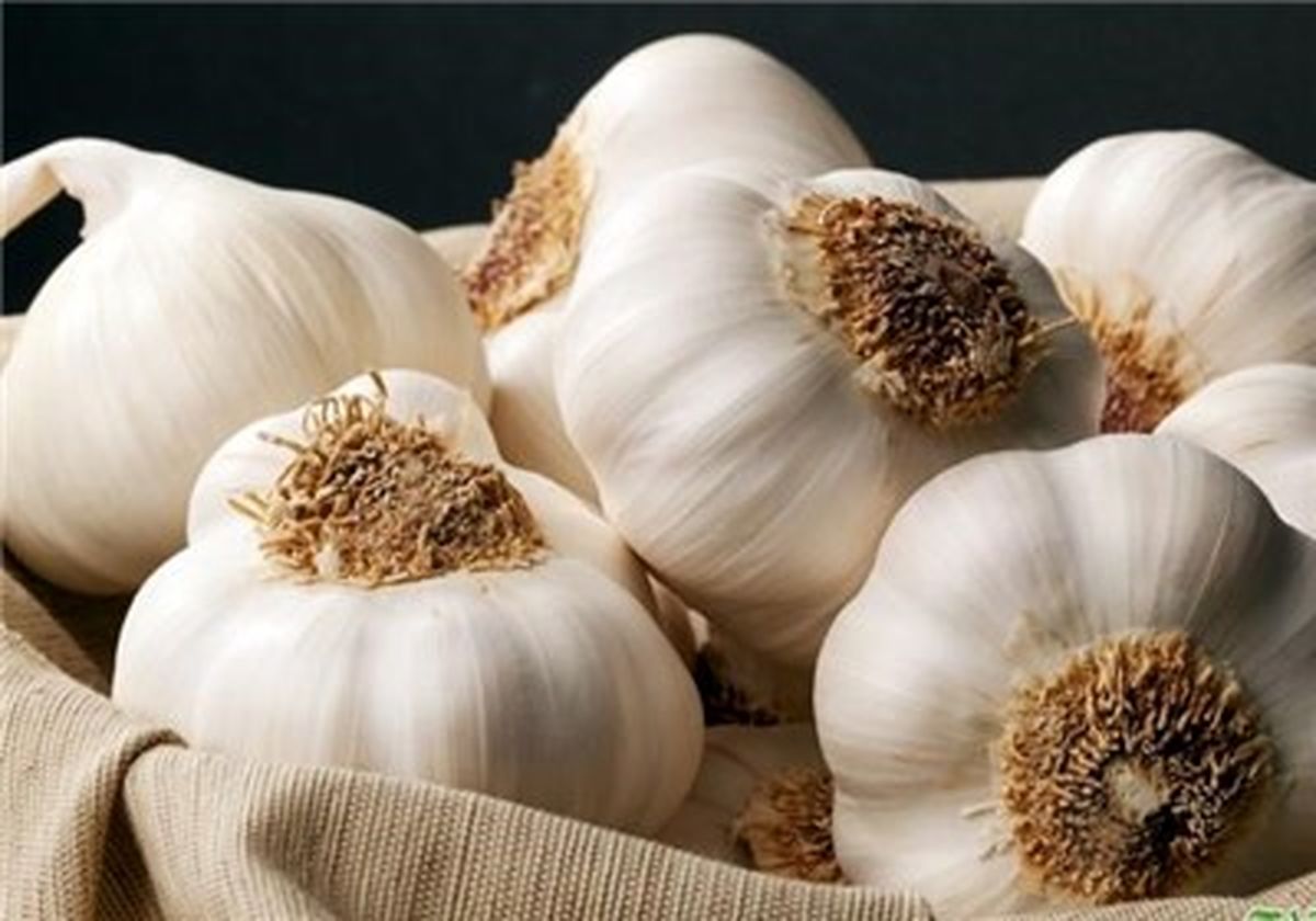 کاهش بروز سرطان با مصرف سیر