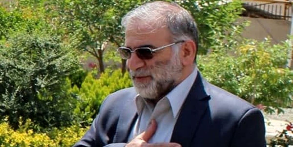 استاد دانشگاه ژنو: ترور فخری‌زاده یک جرم دولتی است+فیلم