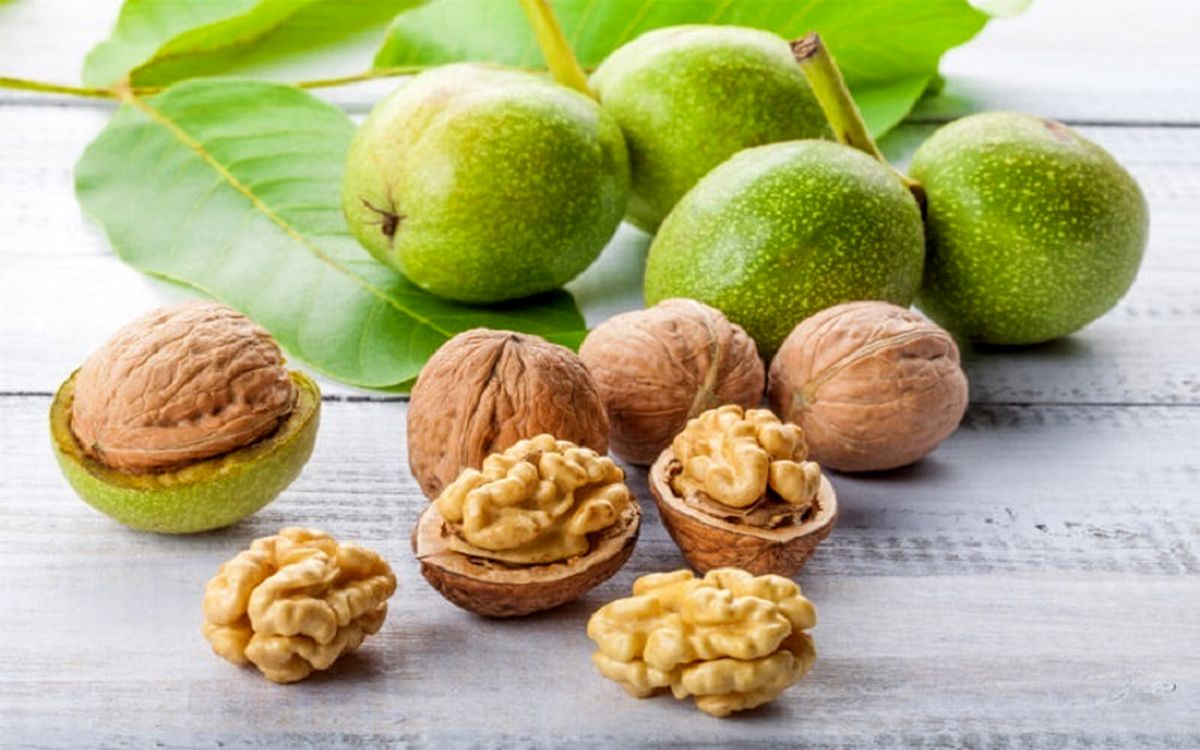 فواید گردو برای کودکان