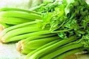 اجرای طرح «استحصال مواد موثره کرفس کوهی» در چهارمحال و بختیاری