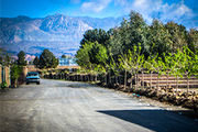 کوچه‌های بهاری روستای صدخرو به روایت تصویر