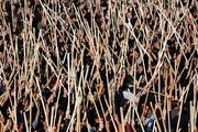 آیین سنتی مذهبی قالی شویان در مشهد اردهال/ گزارش تصویری