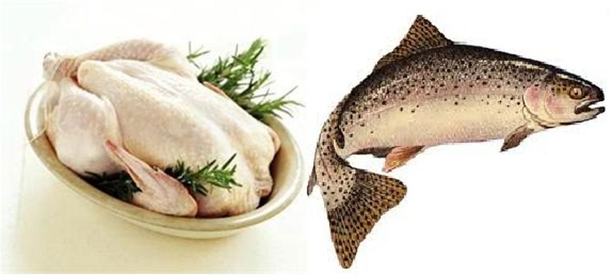 مرغ و ماهی کیلویی چند؟