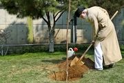 رهبری دو اصله نهال میوه کاشتند/گزارش تصویری