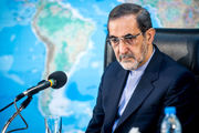 مشاور رهبری : آزادی حلب فتح الفتوح بود
