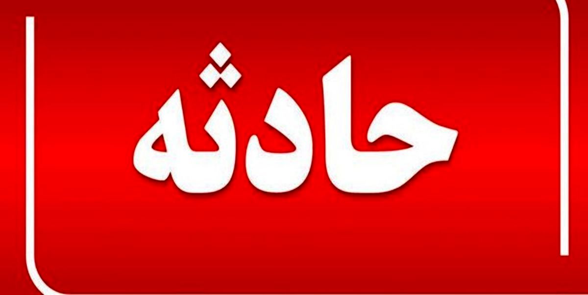 اخبار حوادث/ سقوط یک هواپیما