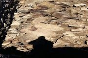 بیش از 70 راس گوسفند براثر آوار در تویسرکان تلف شد