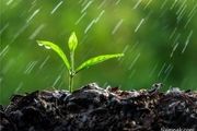 در این زمانها دعایتان مستجاب می‌گردد