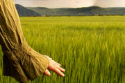 ۲۱ درس زندگی برای خوشبختی