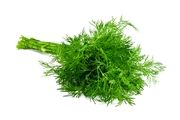 فواید شگفت انگیز شوید برای سلامتی
