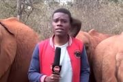 فیل بازیگوش برنامه زنده را بهم زد+ صحنه جالب