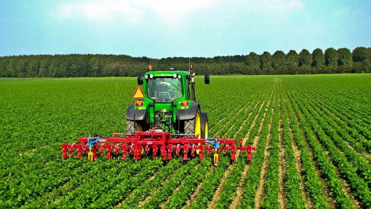 اجرای مصوبه الگوی کشت شرط خودکفایی محصولات اساسی
