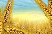 عملی که باعث آرامش روحی و جسمی می شود