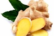 زنجبیل گزینه مناسب برای درمان بیماری التهاب روده
