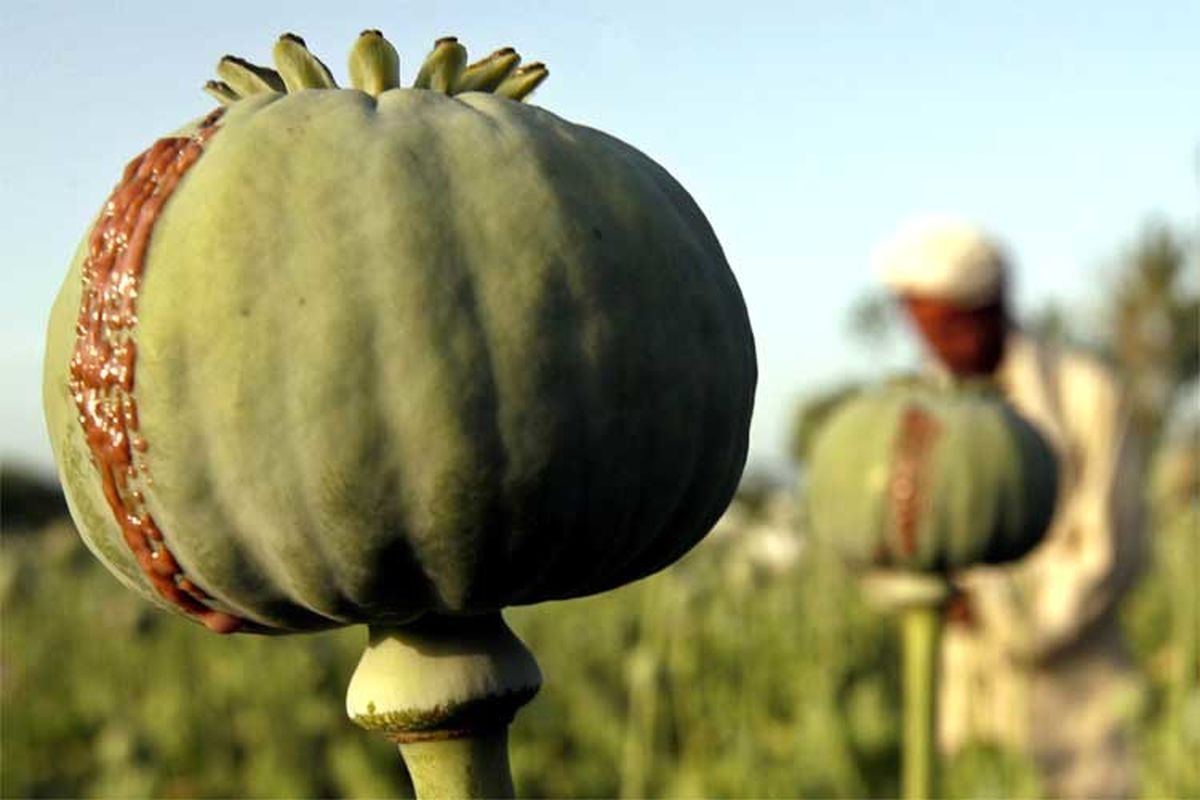 دستگیری قاچاقچی مواد مخدر با 90 کیلو گرم تریاک