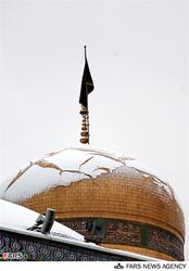 n00174705-r-b-007