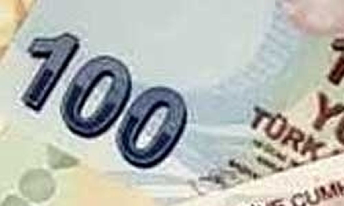 اردوغان: از دلار به عنوان سلاح استفاده شده است