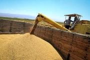 گرانفروشی خوراک طیور با دلار ۳۸۰۰ تومانی