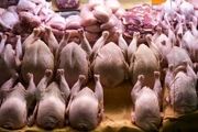 قیمت مرغ و تخم‌مرغ امروز یکشنبه ۶ اردیبهشت ۱۴۰۵